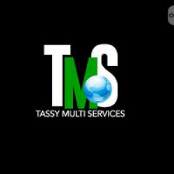 Tassy Real Estate & Tax Accounting, Inc.