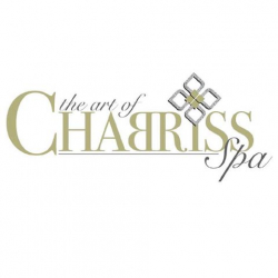 The Art of Chabriss