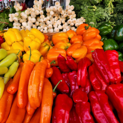 Delray Winter GreenMarket Delray Winter GreenMarket