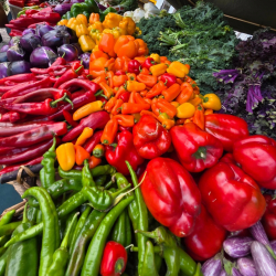 Delray GreenMarket 