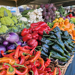 Delray Winter GreenMarket