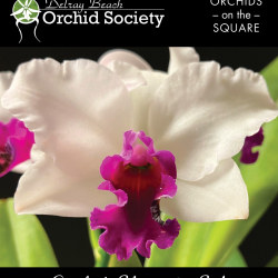 Delay Beach Orchid Society Annual Show and Sale