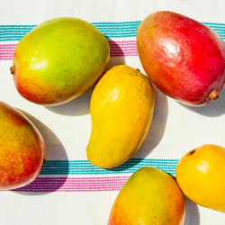 12th Annual Mango Swap