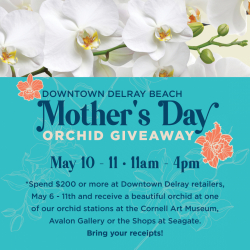 Annual Mother's Day Orchid Giveaway