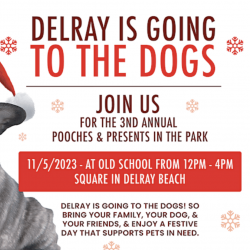 Delray Is Going To The Dogs