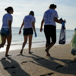 Great American Beach Cleanup