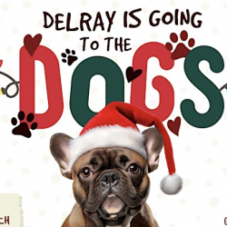 Delray Is Going To The Dogs
