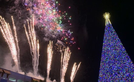 Experience the Magic of New Year's Eve in Delray Beach