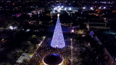 Delray's 100ft Christmas Tree Lighting